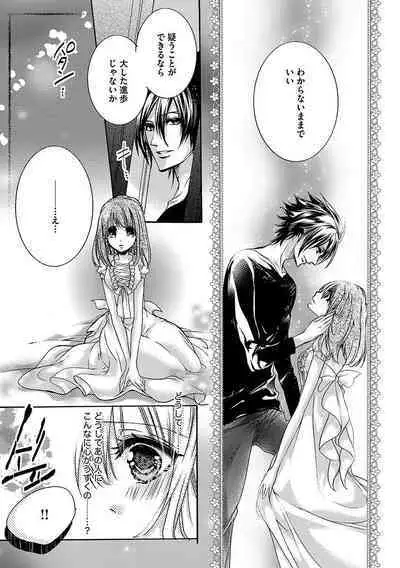 鬼畜兄弟の悶絶調教~私はいいなり奴隷~