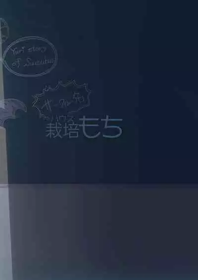 Yuri Ranbou Sareru Inma Soushuuhen | A Succubus Ravaged By Yuri Compilation