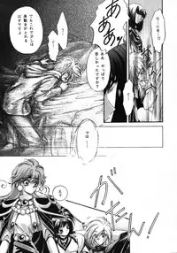 [Bun (Mizumori Ryouko, Shimotsuki Rei)] Reveal (Slayers)