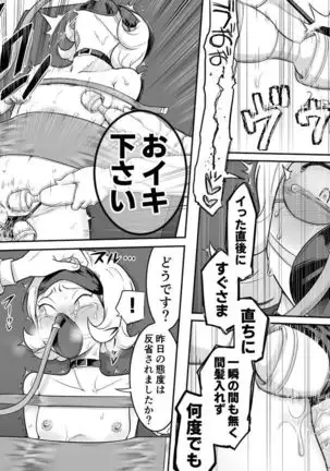 Kachou Seidorei Choukyou II