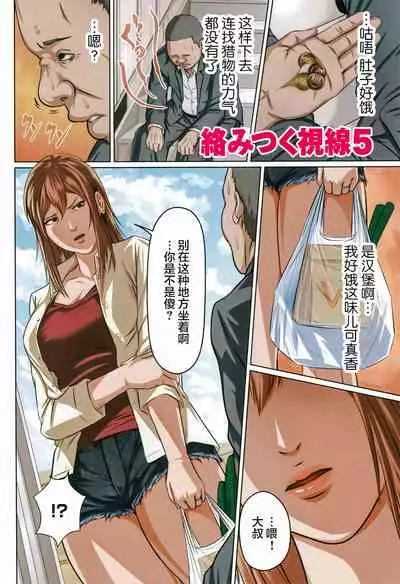 [Negurie] Karamitsuku Shisen [Chinese] [零星汉化组+HTzhemu调色版]