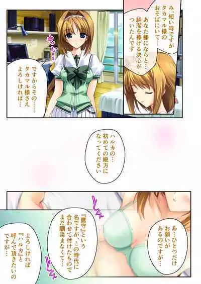 超昂閃忍ハルカ デジカルコミカライズ ~龍の力の継承者と美女三忍~ モザイクコミック総集編