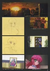 VIPER Series Official Artbook IV