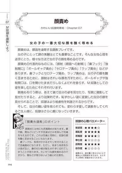 Zero kara Hajimeru SM Manual Kawaii Dorei Shiikujutsu