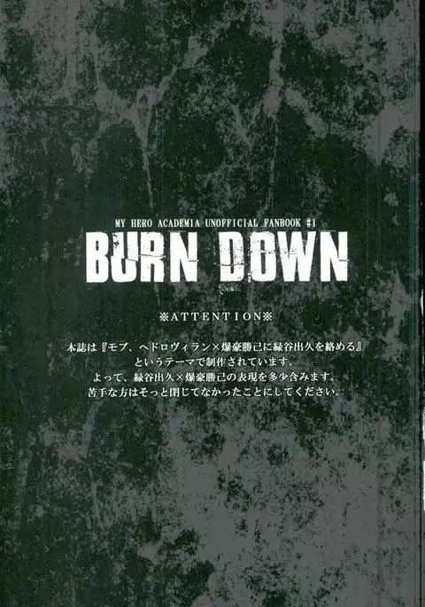 BURN DOWN