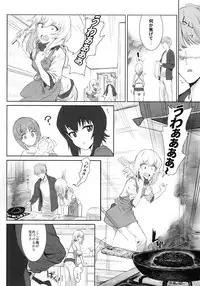 (C92) [SHIOHAMA (Hankotsu MAX)] ERIKA (Girls und Panzer)