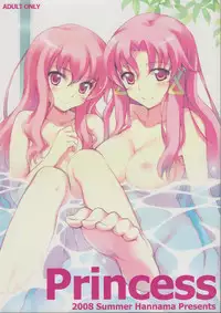 Zero no tskaima doujin Cover Samples on my radar