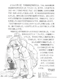 (C73) [Rat Tail (Irie Yamazaki)] Tail-Man Nefertari Vivi Book (One Piece)