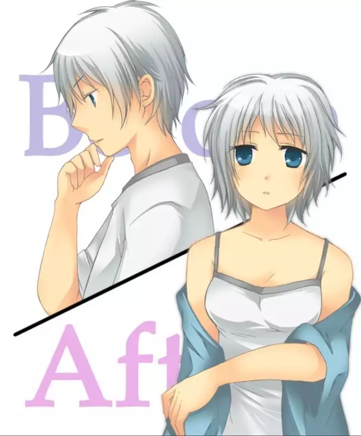 Okashi Assorted Packs - Unscented Taste