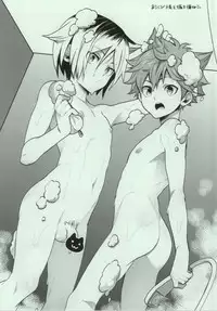 (IDLING ATTACKER7) [Chigen TORINO (S.kosugi)] Hina Neko (Haikyuu!!)