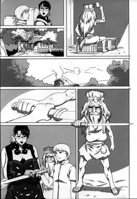 (C78) [Shiawase Pullin Dou (Ninroku)] Package Meat 7 (Queen's Blade)