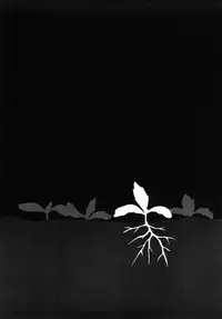 [Machida Hiraku] Tanpopo no Matsuri