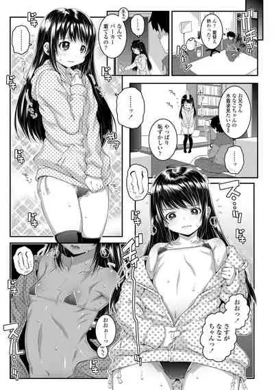 Soutaisei Virgin Theory