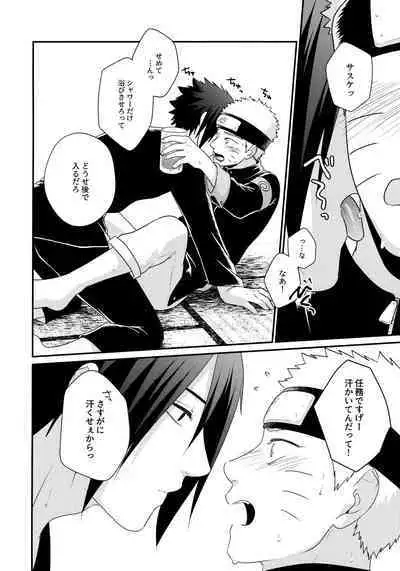 Peeping tom Rendezvous