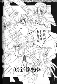 (C79) [Poniteke Zoku (Hashimo Yuki)] Gotairou no Ran (Touhou Project)