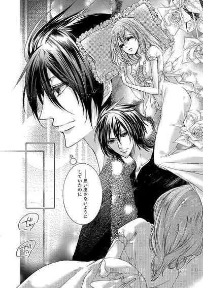 鬼畜兄弟の悶絶調教~私はいいなり奴隷~