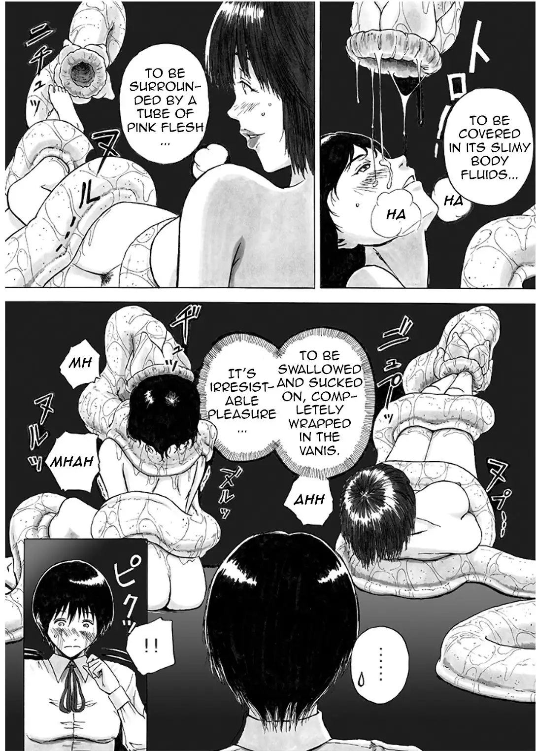 P045-02 Vanis Report