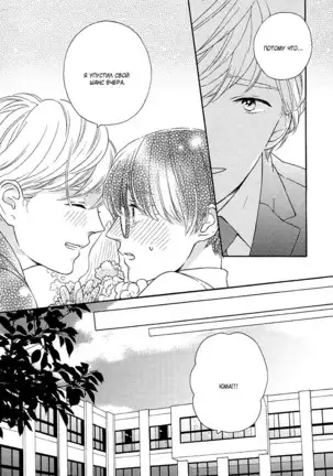 The Daydreamer Falls in Love