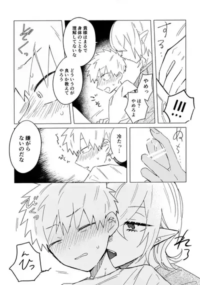 Ore no Shishou ha Seiaku Vampire