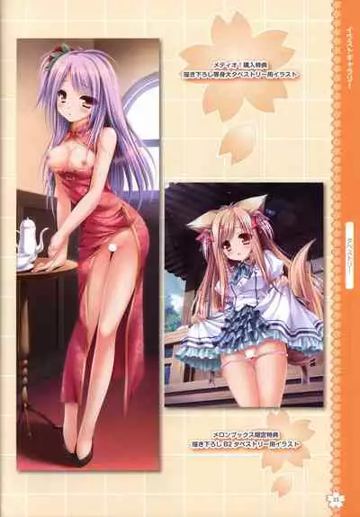 Tayutama2 Visual Art Fanbook