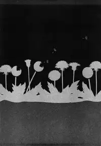 [Machida Hiraku] Tanpopo no Matsuri