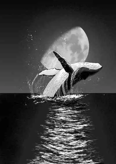 Action Pizazz 2020-04