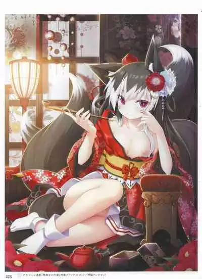 Sankai Ou no Yubiwa Perfect Guidebook