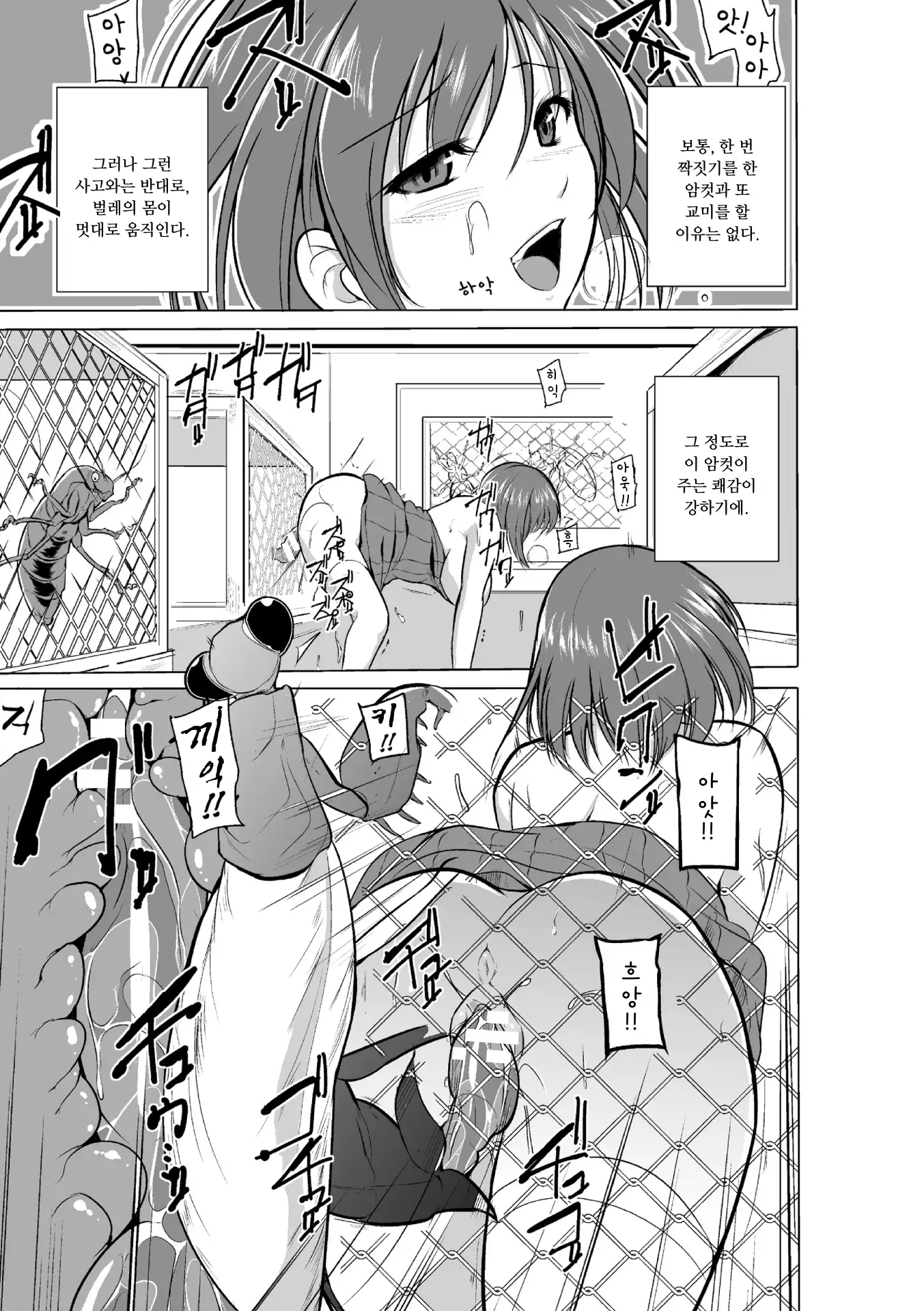 Mushi Asobi | 벌레유희