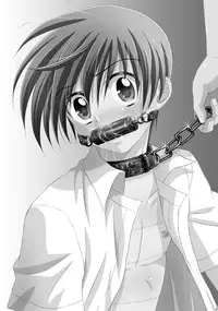 (C84) [Studio Dimple (Tsumugi Kyuuta)] Bishounen Kinbaku Nisshi Soushuuhen 1 [Incomplete]