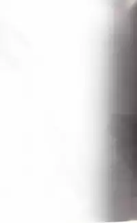 (SC27) [Moe Moe Cafe (Shitto)] honotan ll - Max Heart (Futari wa Precure)