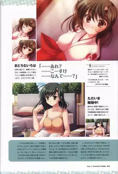 Tasogare no Sinsemilla Official Visual Fan book