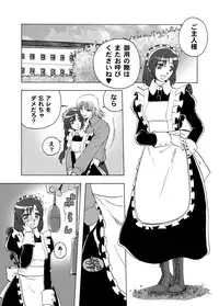 [Wire Frame Rifles] Goshujin-sama Senyou Gohoushi Maid-san