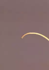 (C84) [WASABI (Tatami)] hundred sweet chocolates 【Kitten】