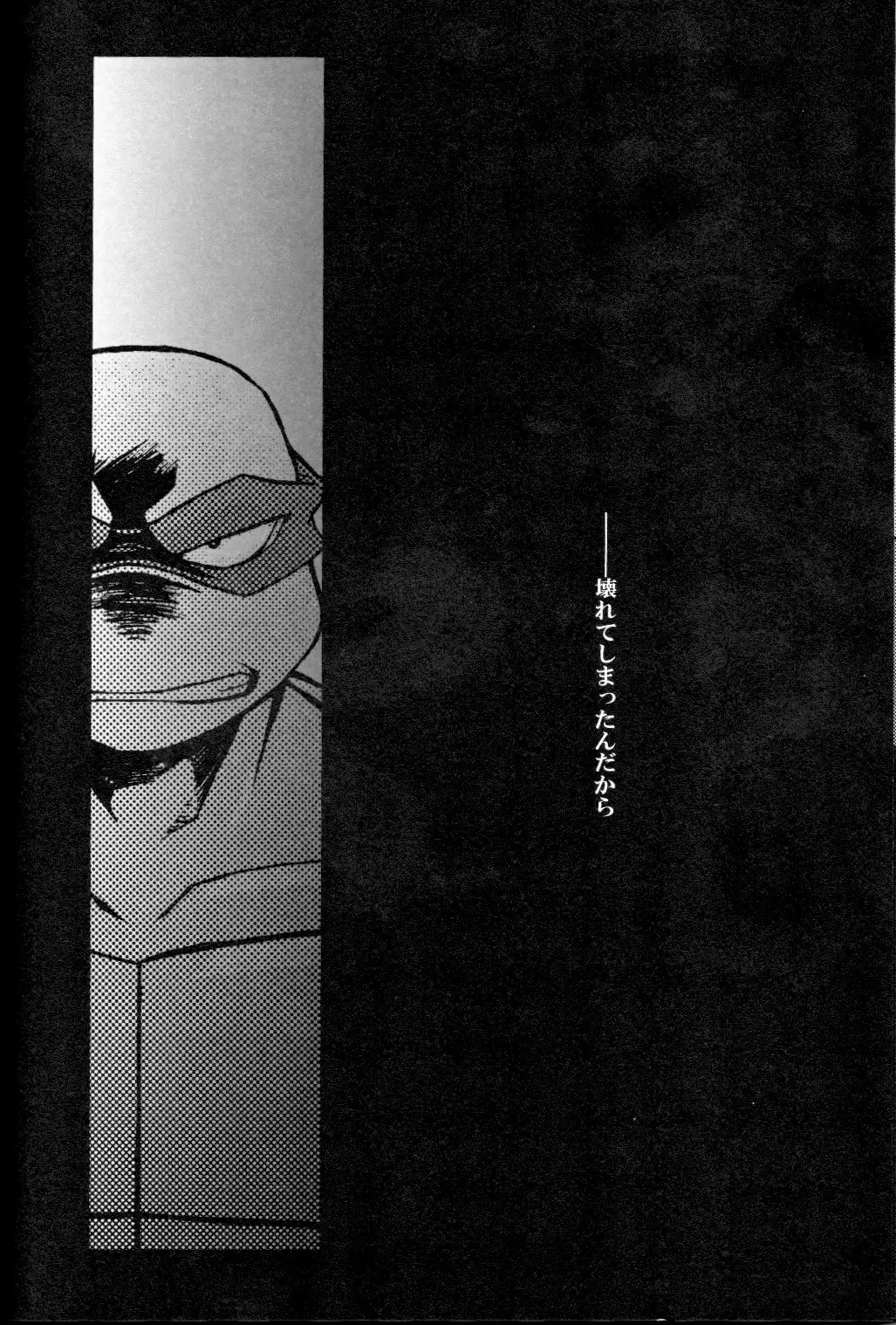 FALLEN - Raph vs Leo - Teenage Mutant Ninja Turtles, TMNT doujinshi