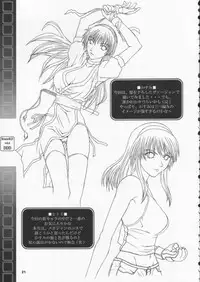 (CR31) [BREEZE (Haioku)] R25 Vol.6 D^3 (Dead or Alive)