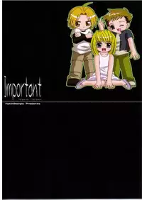 (SC23) [Yukimi Honpo (Asano Yukino)] Important (Fullmetal Alchemist)