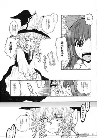 (C74) [Shoujo Zukin (Hatomugi Munmun)] Marecollect (Touhou Project)