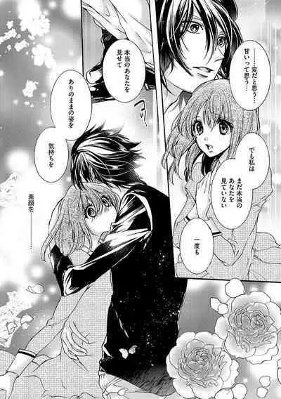 鬼畜兄弟の悶絶調教~私はいいなり奴隷~