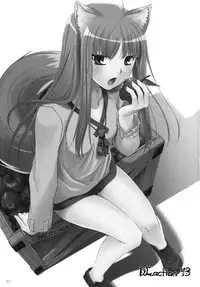 (COMIC1☆2) [Digital Lover (Nakajima Yuka)] D.L. action 43 (Spice and Wolf)