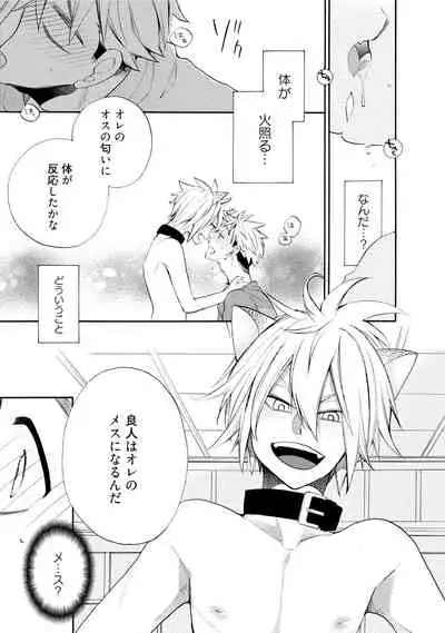 Wolves and Erotic Things