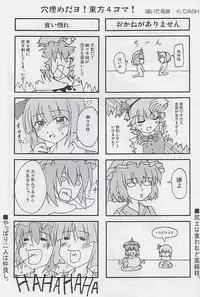 (Reitaisai 2) [Yumemi Gokochi (Mikage Baku)] Juusho Futei Mushoku (Touhou Project)