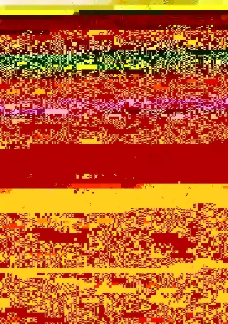 - Female Ork and Man knight & Other Histories