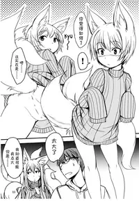 (C91) [Tanmatsu Ijou (BadHand)] Byakko no Mori Sono Juu [Chinese] [开锁匠]