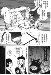 [Kishimoto Saisi] naruto ninja biography vol.06 (naruto) [chinese]