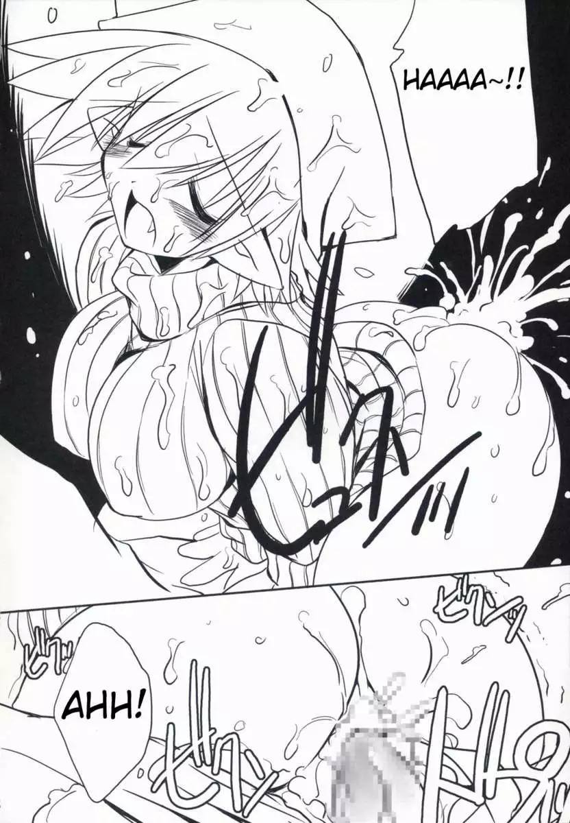 intermission: The Doujinshi Fairy