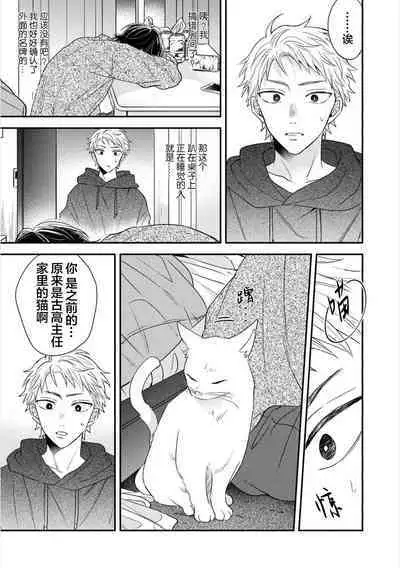 Dakasete Kudasai Furutaka Shunin|请让我抱您古高主任