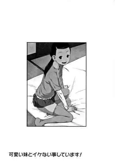 Kawaii Imouto to Ikenai Koto Shiteimasu!