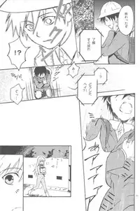 [DARKER THAN BLACK] hoshiatsume 表&裏 (mrmn)