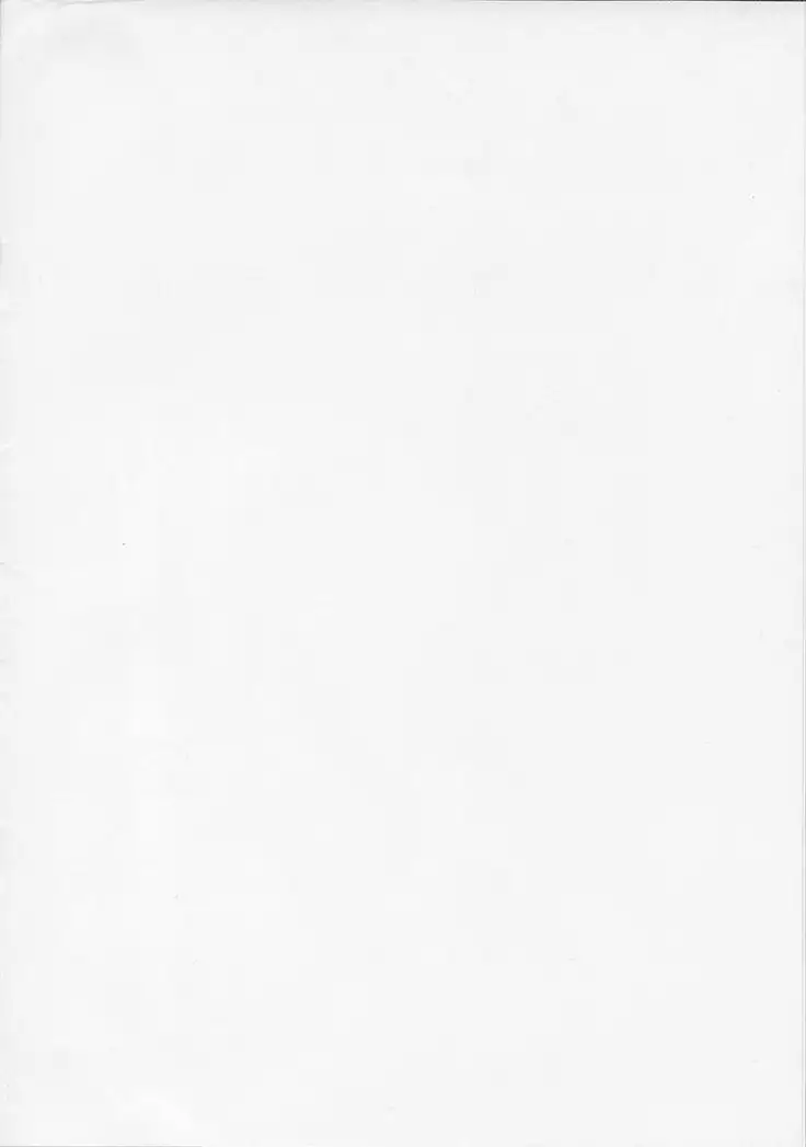 FATE MASOCHISTIC ORDER Hanayome Shugyou