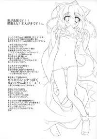 (Reitaisai 5) [DRAGON PANDA (Minase)] Idaten R2 (Touhou Project) [English]